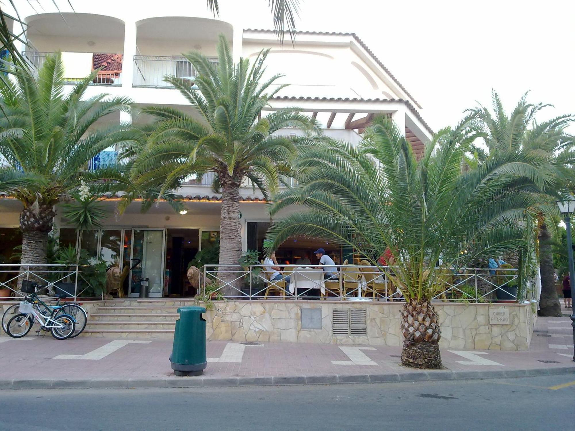 Hostal Leo D'Or กาลาดอร์ ภายนอก รูปภาพ